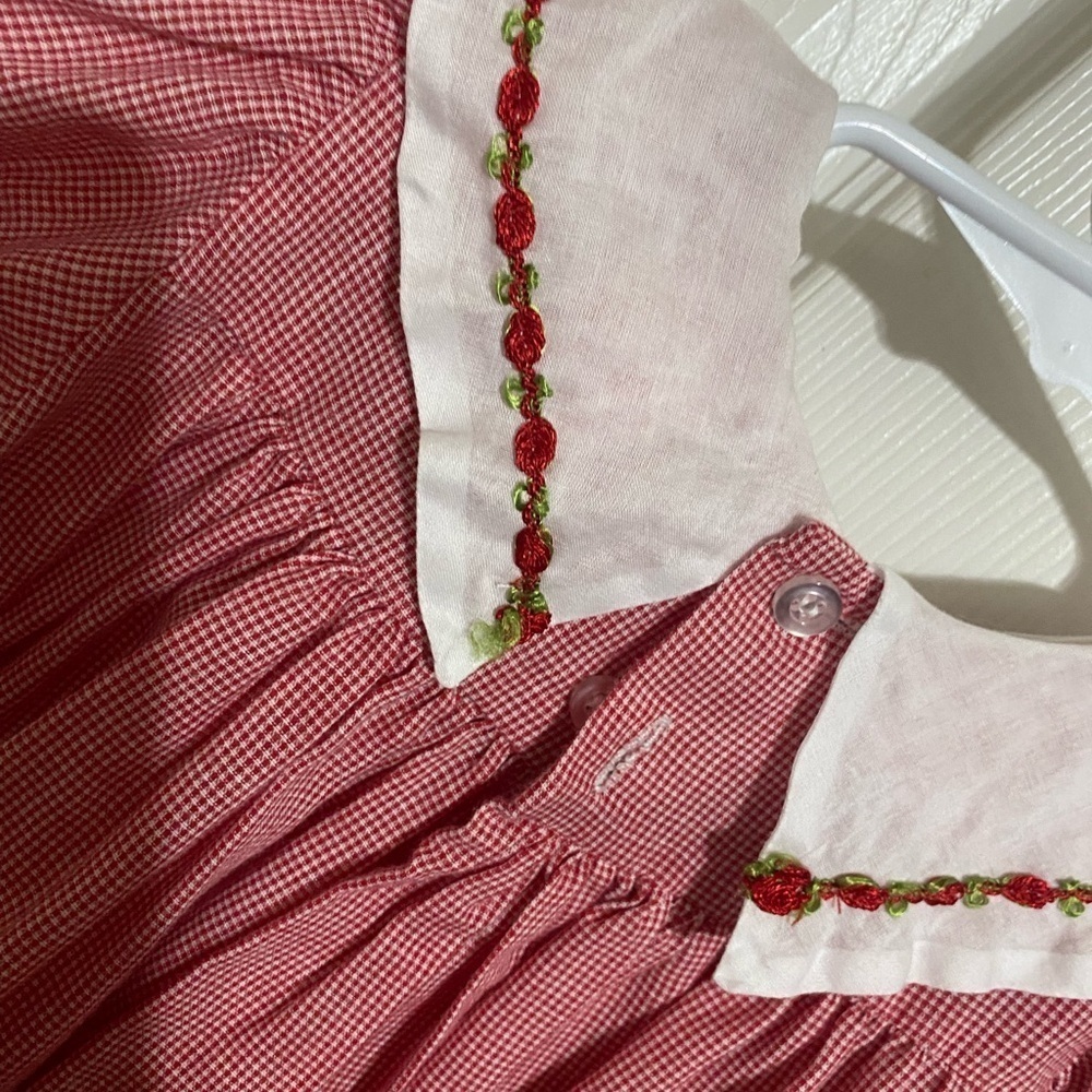Chabre Gingham Bishop Dress - Picture 7 of 8